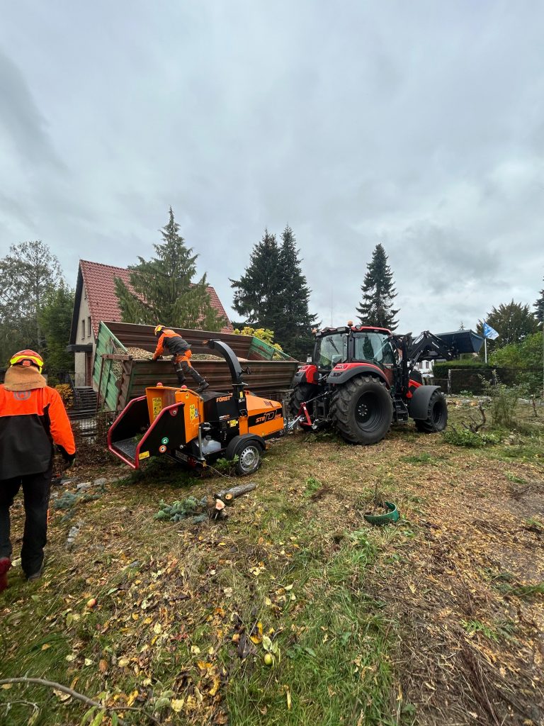 WhatsApp Image 2025-11-18 at 10.43.32