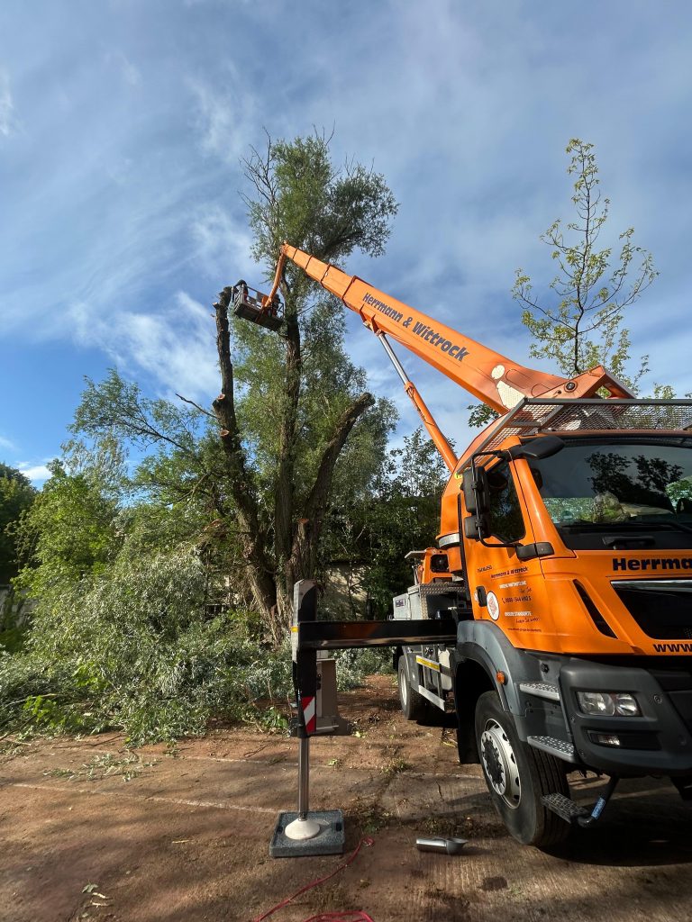 WhatsApp Image 2025-11-18 at 10.44.38