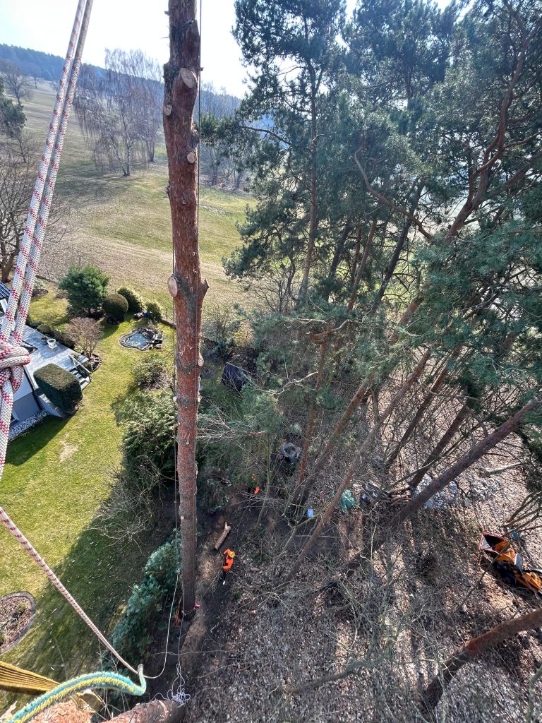 WhatsApp Image 2025-11-18 at 10.46.21