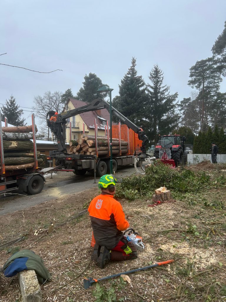 WhatsApp Image 2025-11-18 at 10.47.46