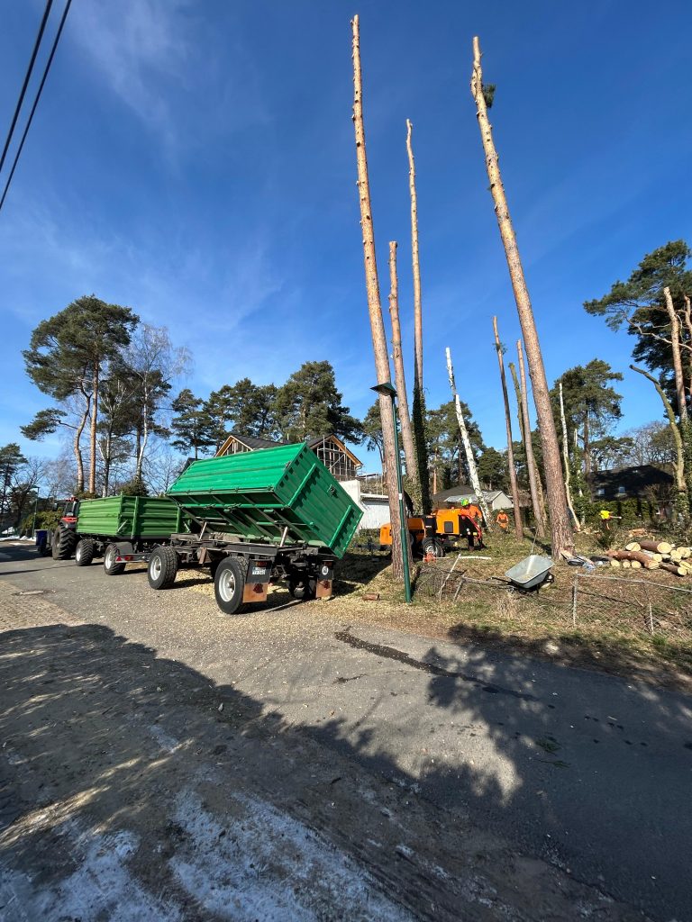 WhatsApp Image 2025-11-18 at 10.48.04