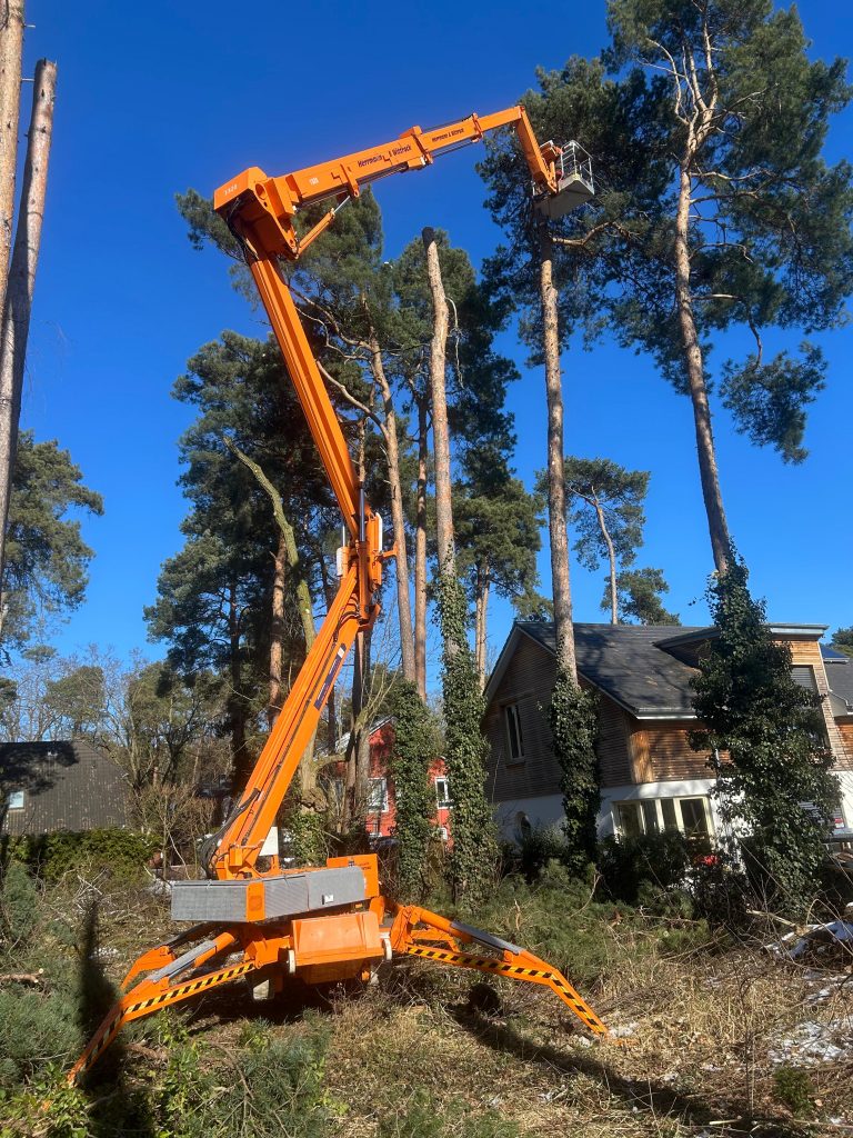 WhatsApp Image 2025-11-18 at 10.48.24