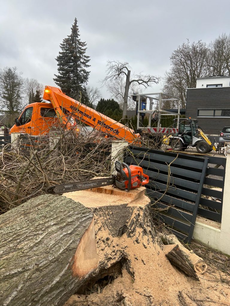 WhatsApp Image 2025-11-18 at 10.49.20