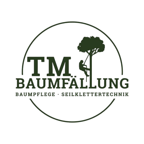 WhatsApp_Image_2025-11-15_at_08.27.14-removebg-preview